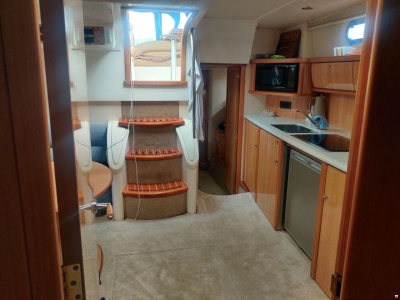 Sealine S41