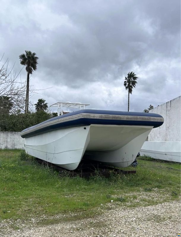 Catamara 350