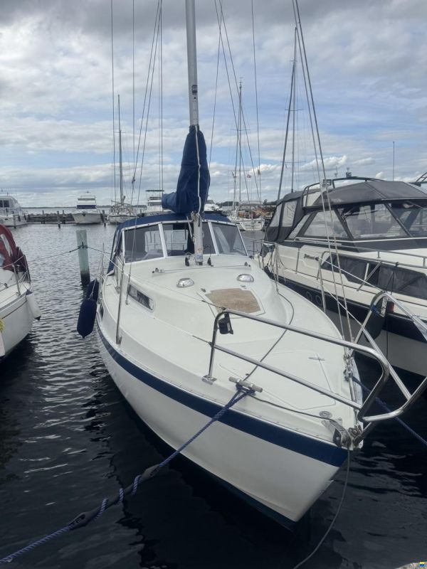 Albin 82 ms