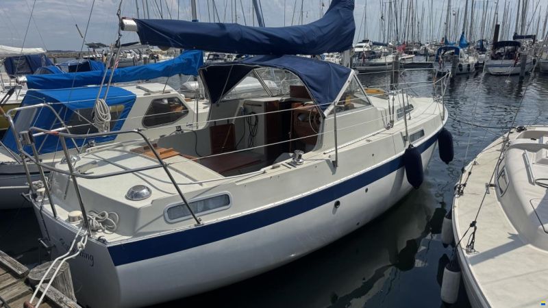 Albin 82 ms