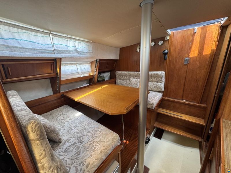 Albin 82 ms