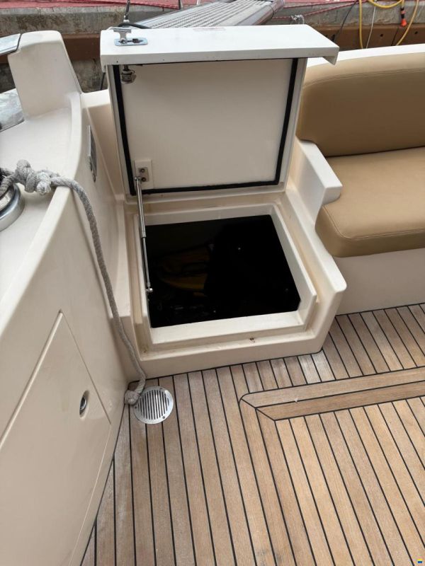 Rodman Muse 54