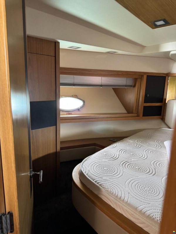 Rodman Muse 54