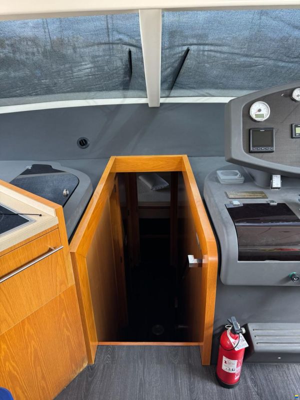 Rodman Muse 54