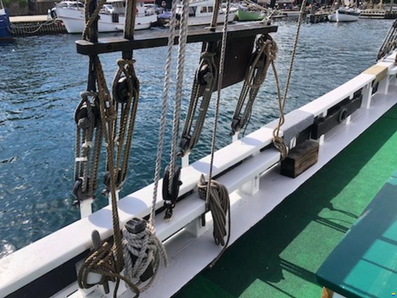 Hajkutter
