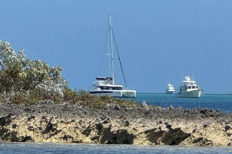 Leopard 42