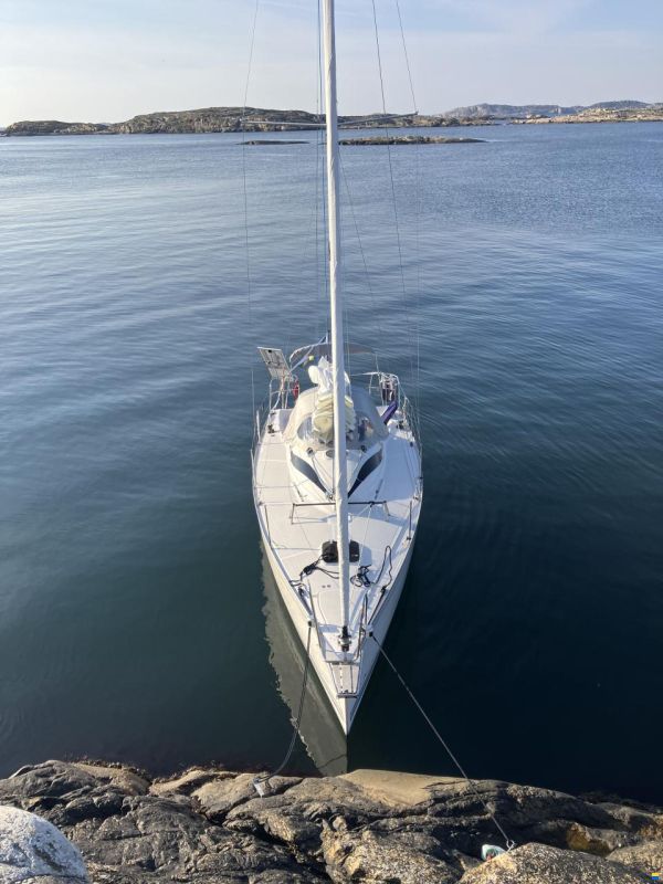 Delphia 28