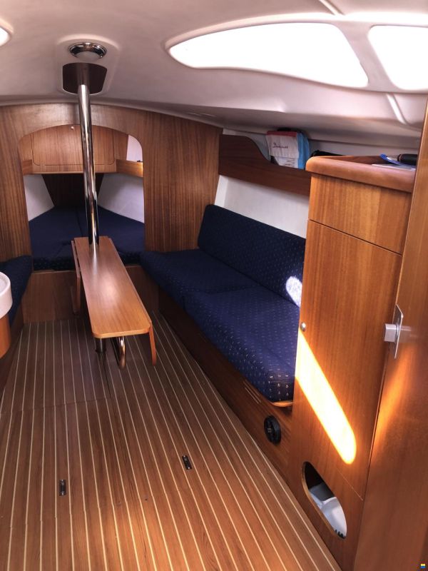 Delphia 28
