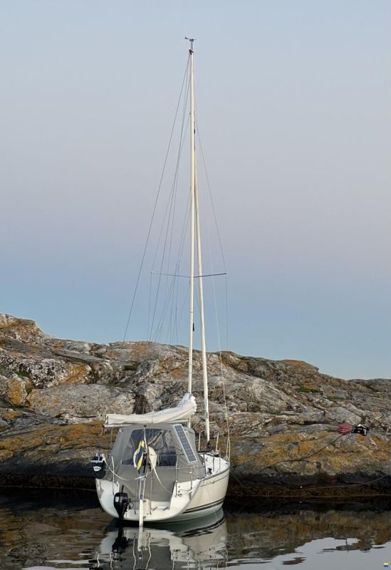 Delphia 28 Sport