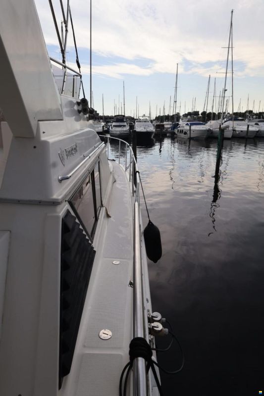Edership 41 Fly