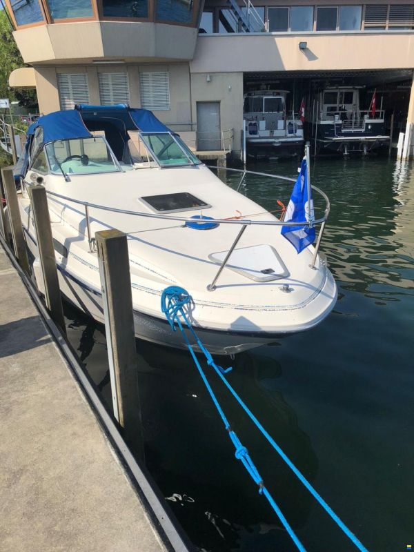 Sea Ray