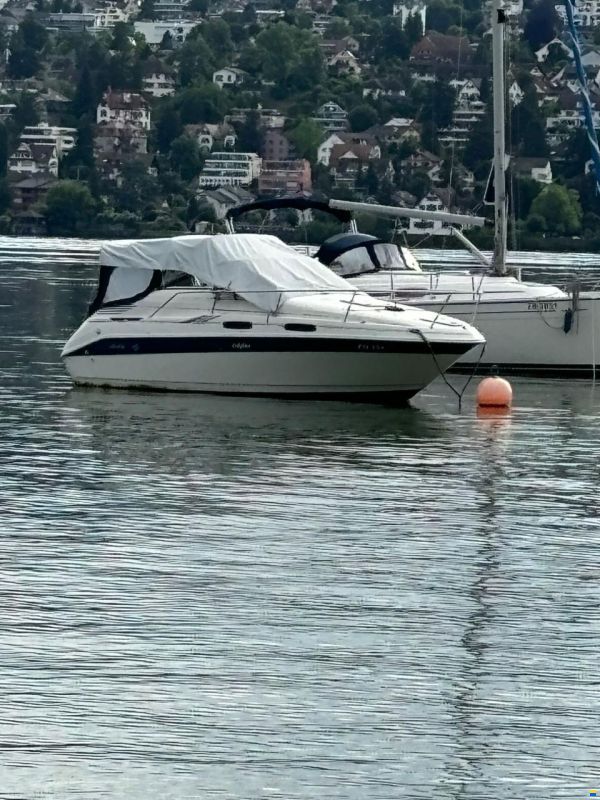 Sea Ray