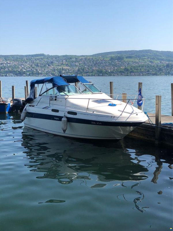 Sea Ray