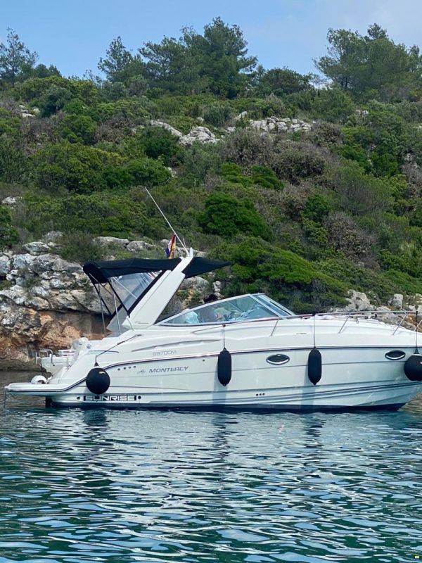 Monterey 315 SCR
