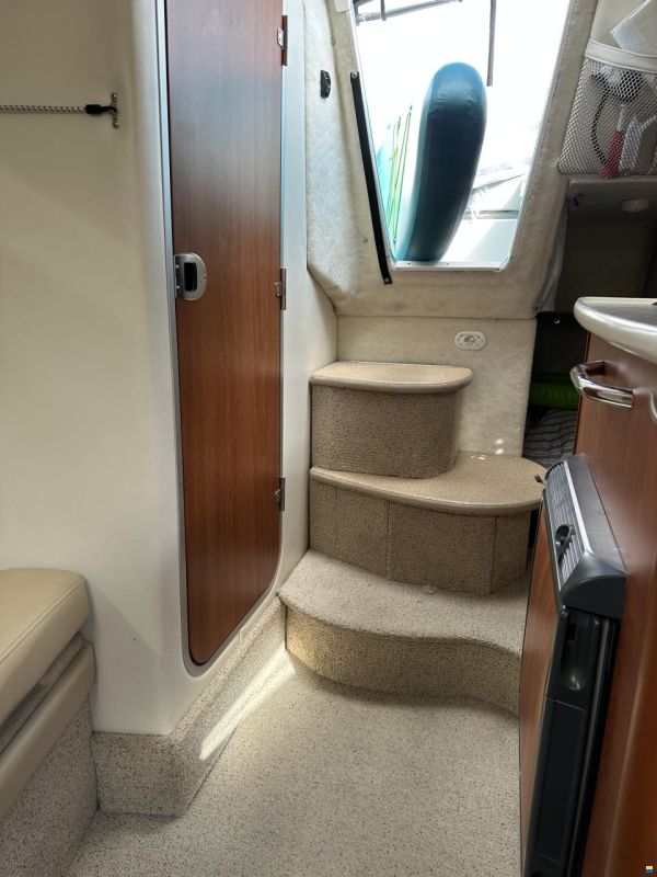 Bayliner 245