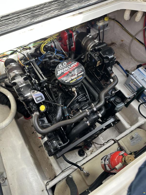 Bayliner 245