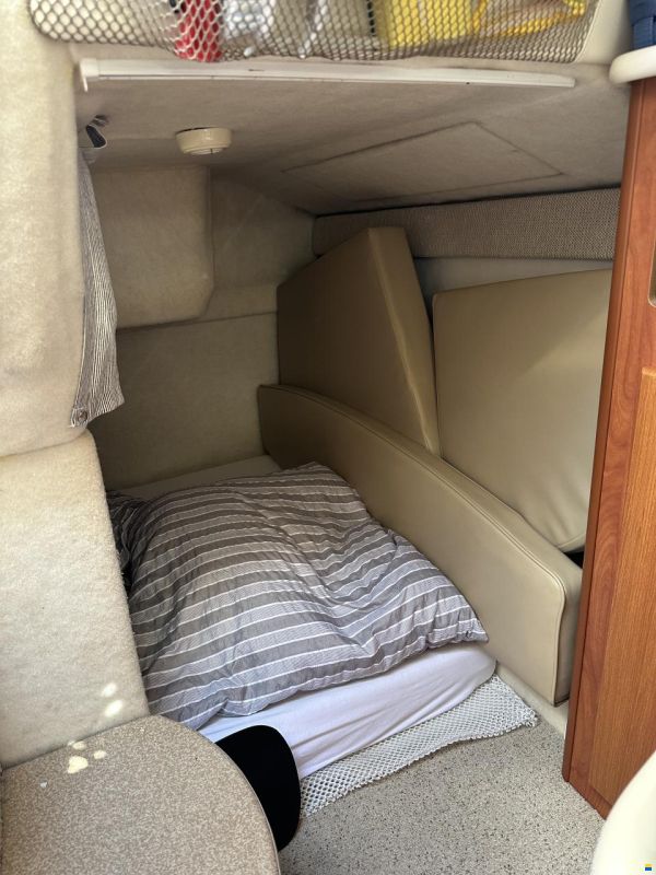 Bayliner 245