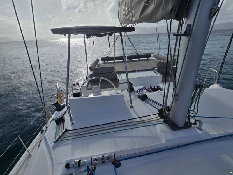 Bali 40 Catspace