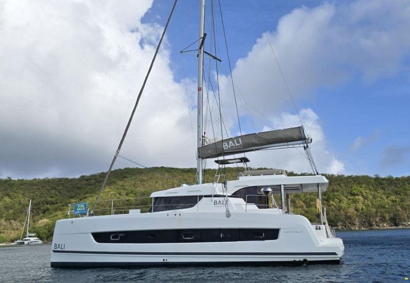 Bali 40 Catspace