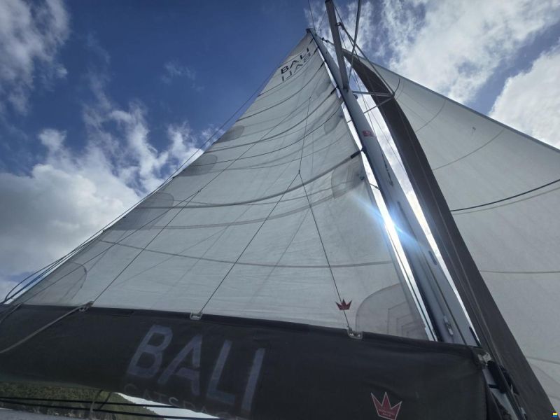Bali 40 Catspace