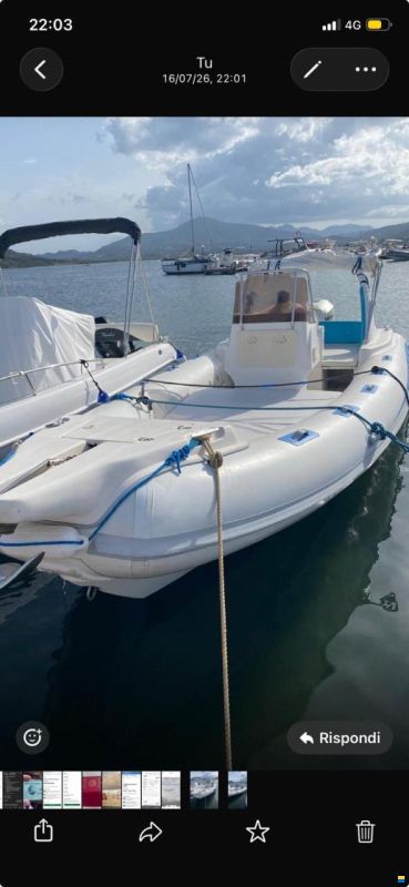 Stingher 700