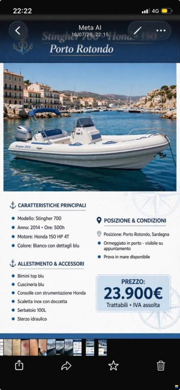 Stingher 700