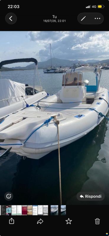 Stingher 700