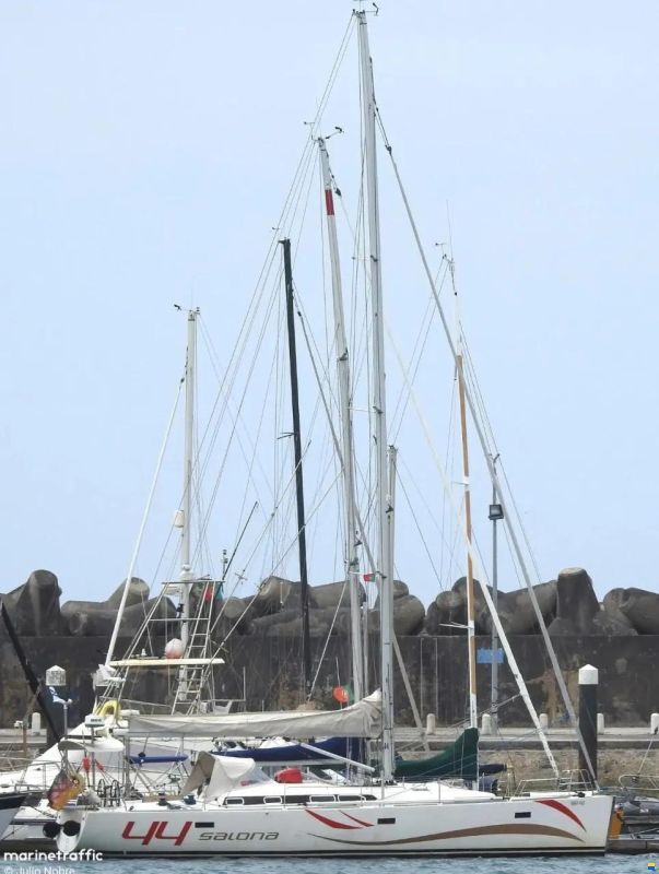 Salona 44 Performance