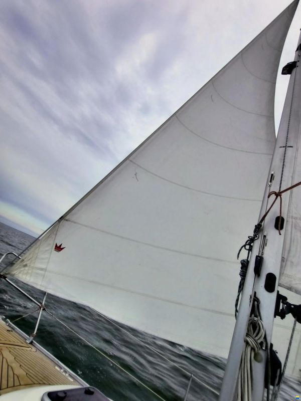 Bavaria 30 Cruiser