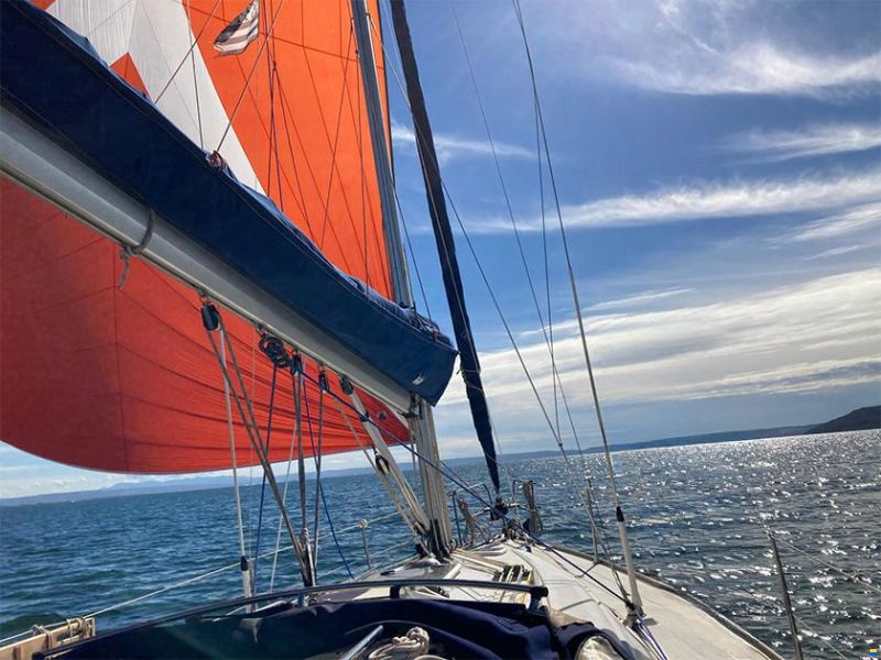 Bavaria Cruiser 36