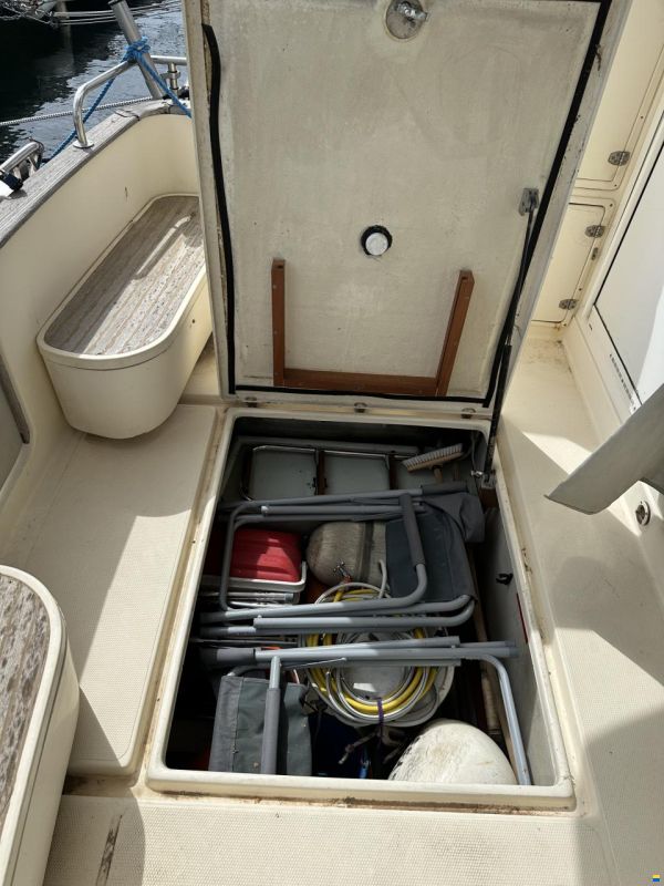 ACM Dufour Elite 31