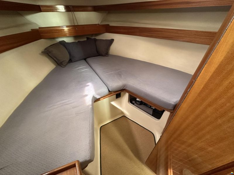ACM Dufour Elite 31