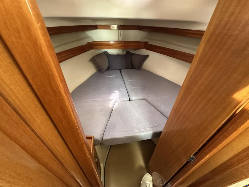 ACM Dufour Elite 31