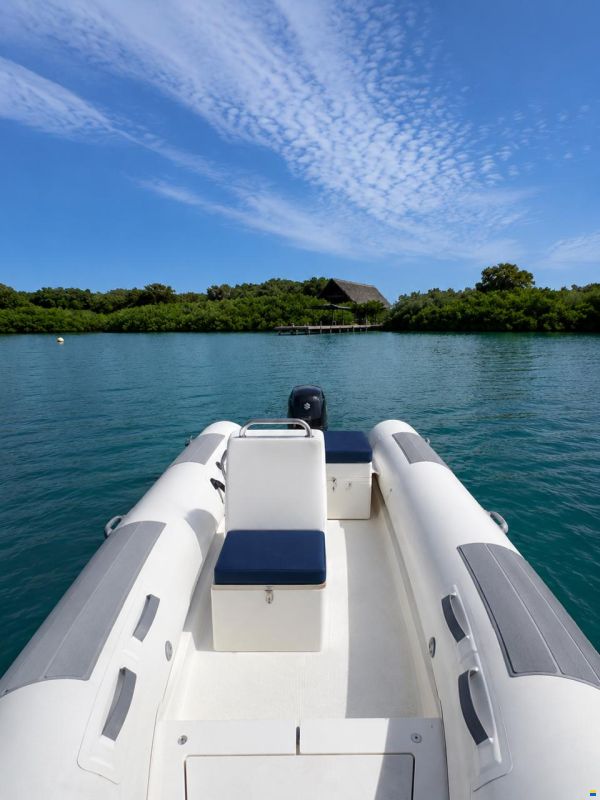 Lagoon 570 Switch