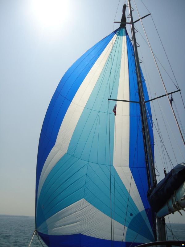Dufour 39cc