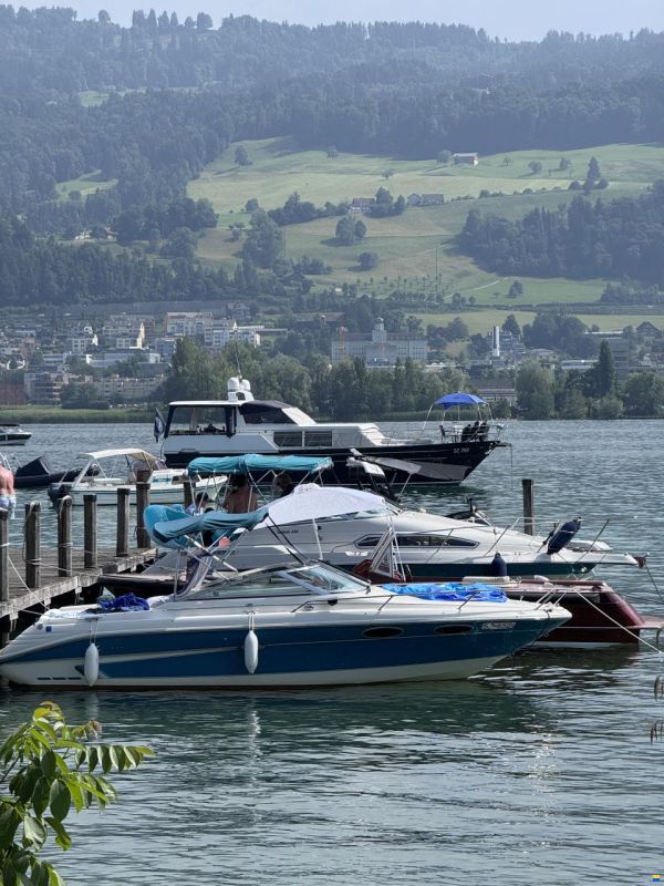 Sea Ray 220 OV