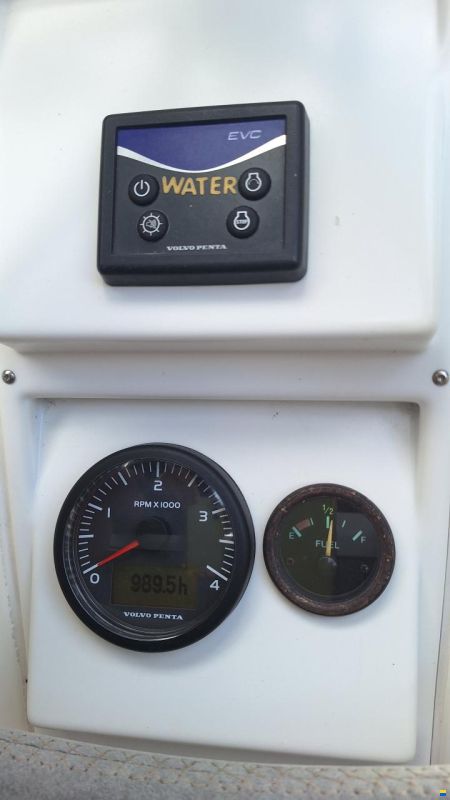 Cruiser 32