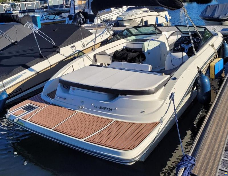Sea Ray 19 SPX inkl comfort und selectpaket