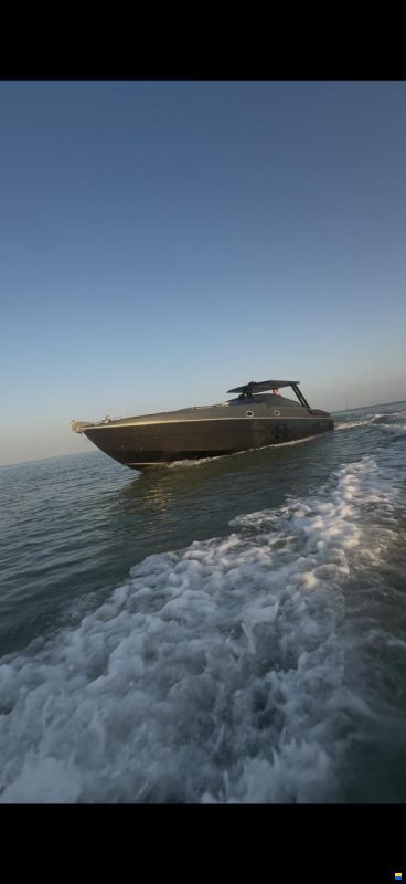 Cigala & Bertinetti Champion 41