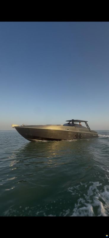 Cigala & Bertinetti Champion 41