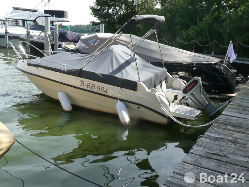 Marino 475