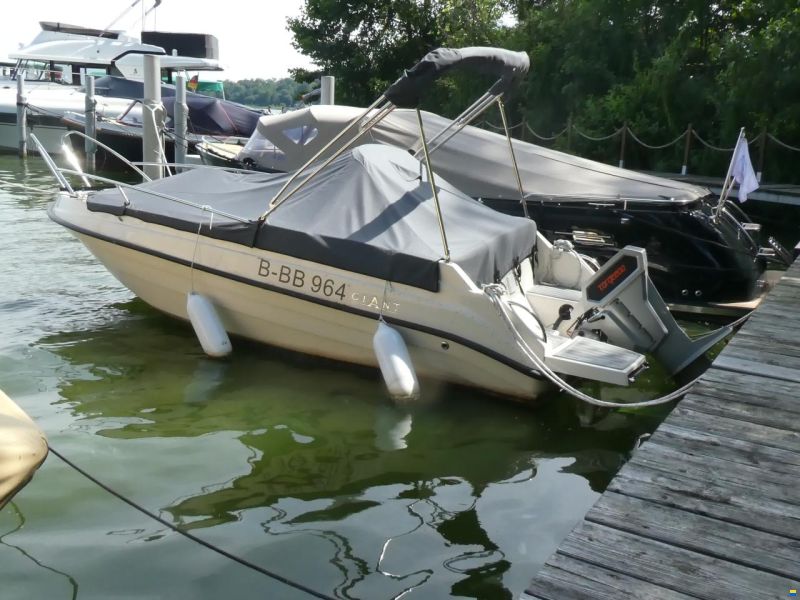 Marino 475