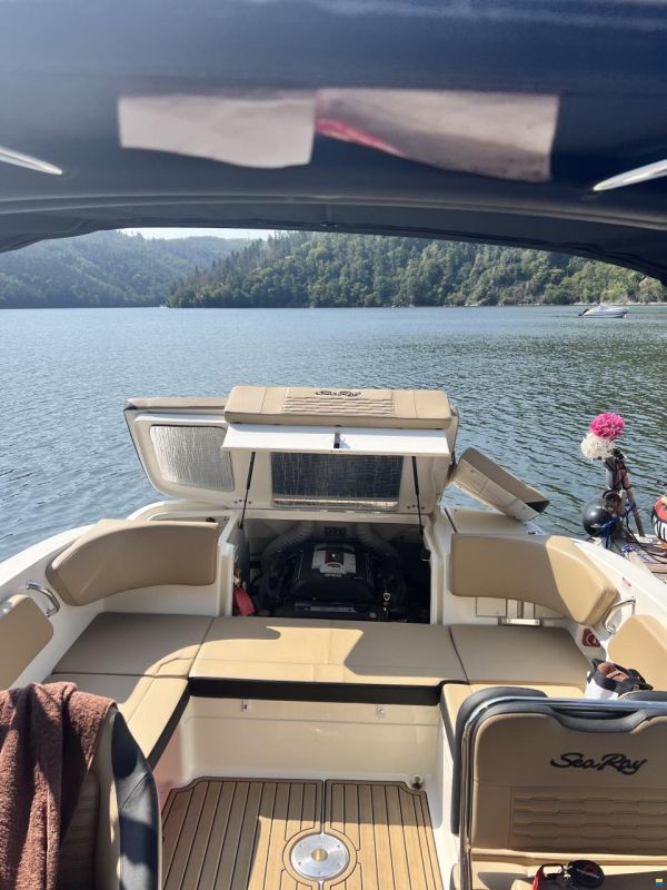 Sea Ray SPX 210
