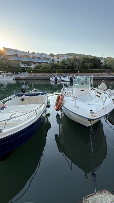 Navalplastica Gozzo