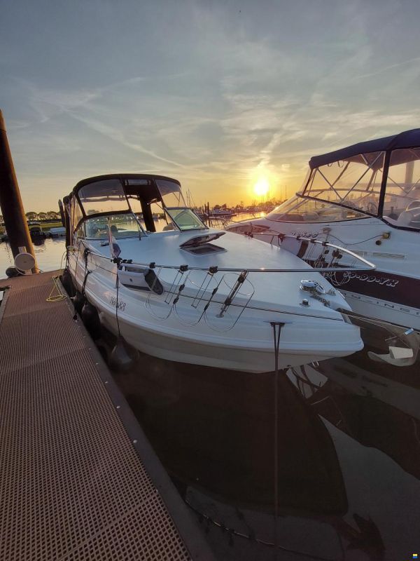Rinker Fiesta Vee 242