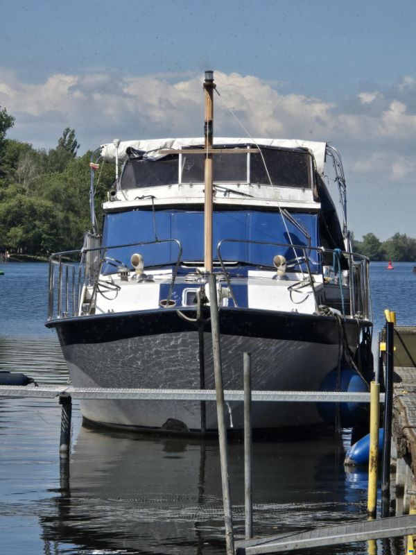 Grahl Yvo 41