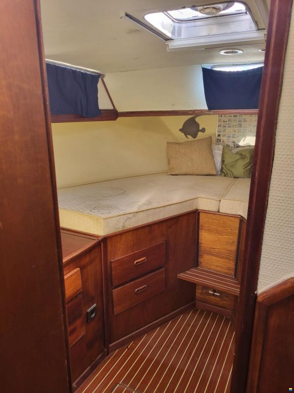 Grahl Yvo 41