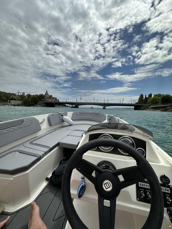 Bayliner M15