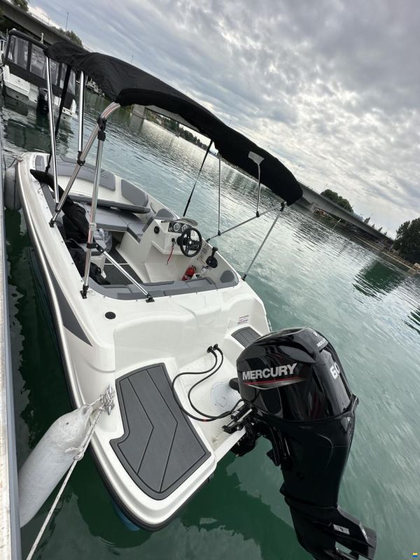 Bayliner M15
