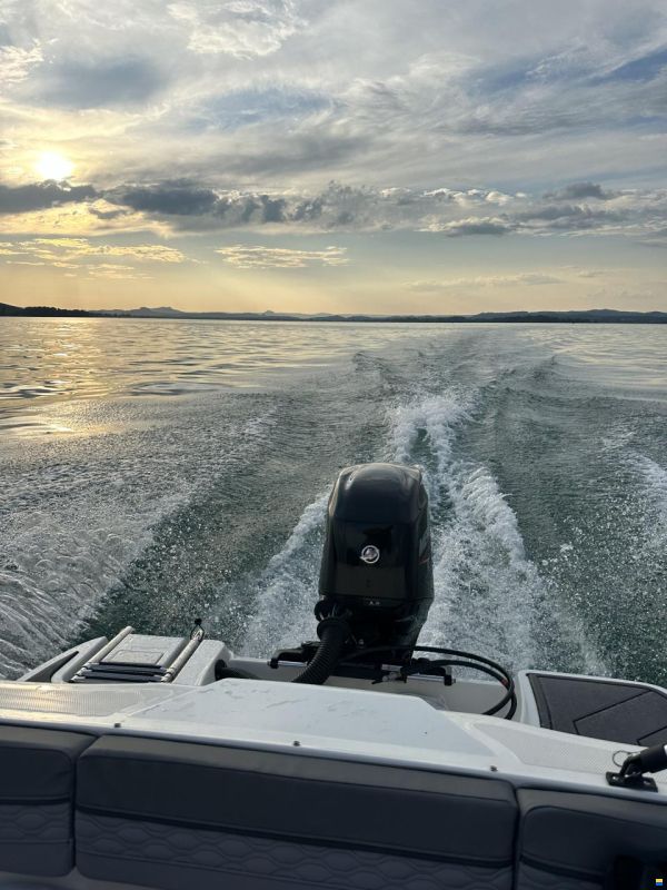 Bayliner M15
